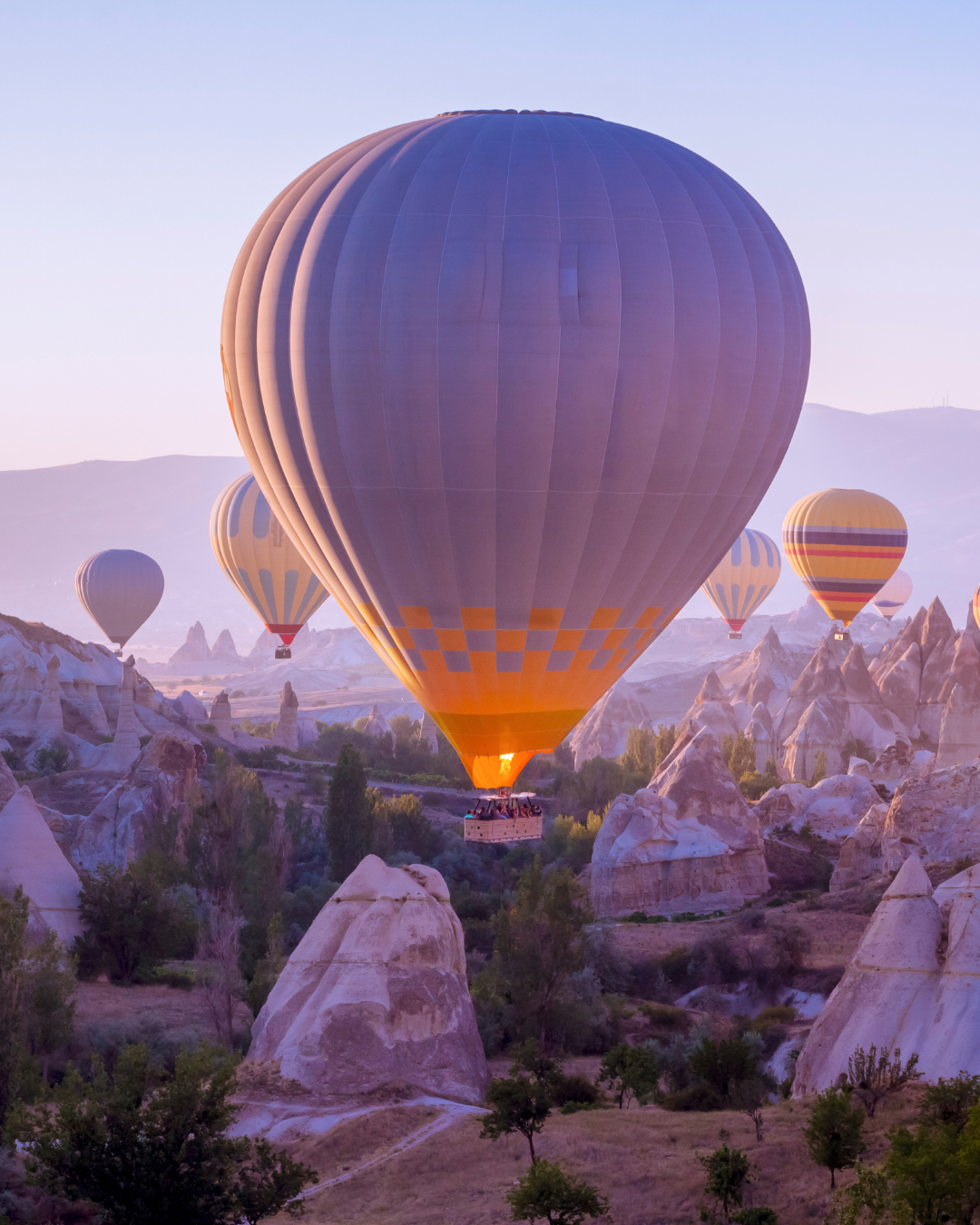 TRAVEL & TOURISM